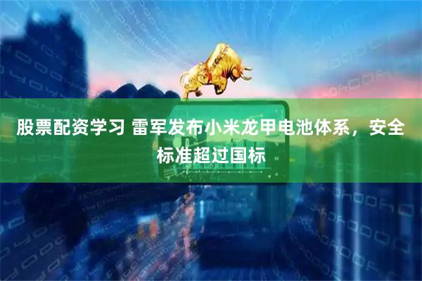 股票配资学习 雷军发布小米龙甲电池体系，安全标准超过国标